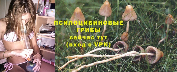 ALPHA-PVP Кинешма